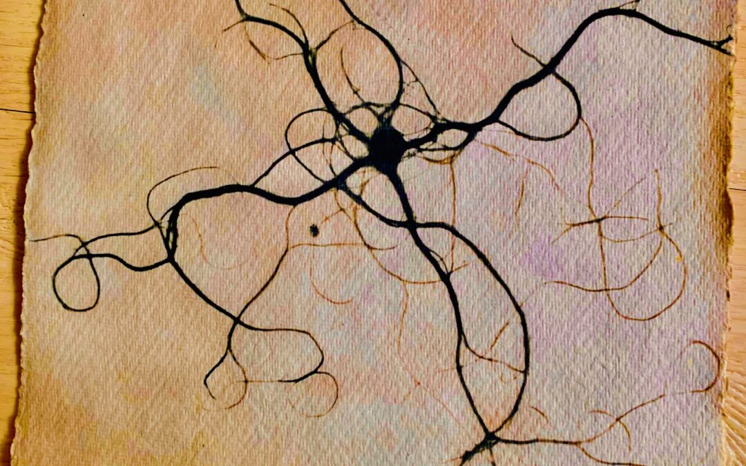 Microscopic connections in Natural Light